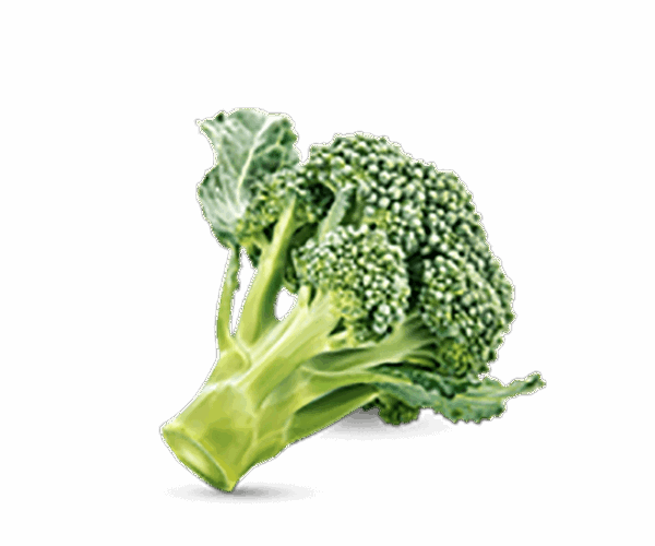 h3-product11 h3-product11