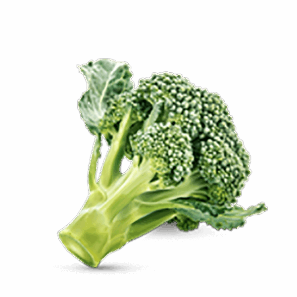 h3-product11 h3-product11