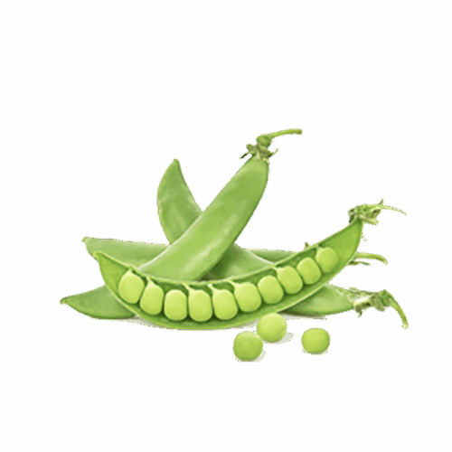 h3-product7 h3-product7